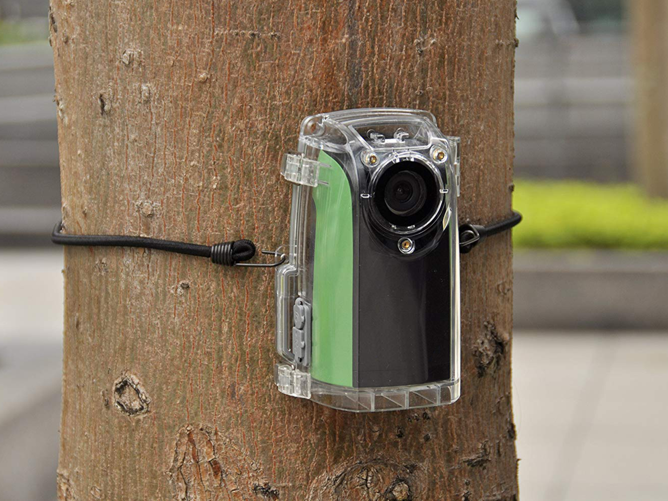 timelapse s4